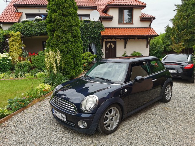 mini