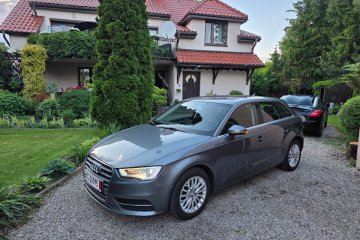 S- line Skóra ledy manual bezwypadek super stan opłacona